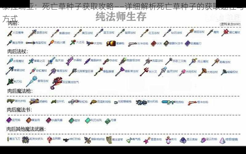泰拉瑞亚:死亡草种子获取攻略——详细解析死亡草种子的获取途径与方式