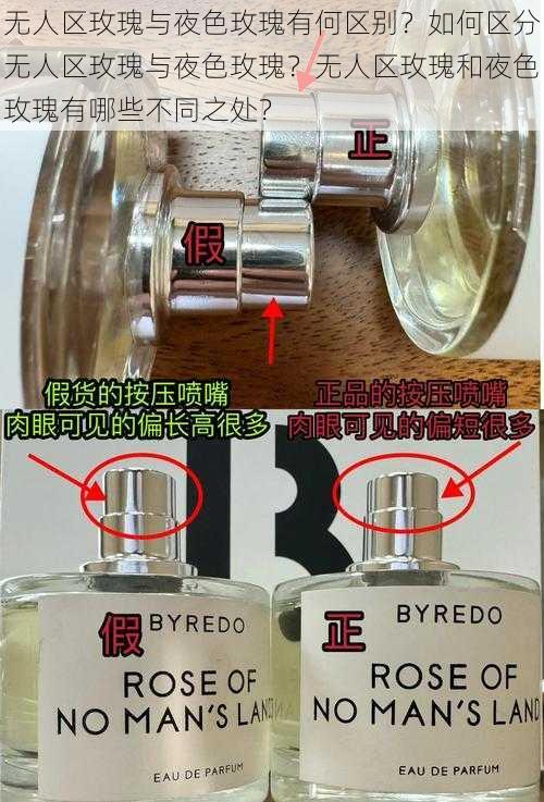 无人区玫瑰与夜色玫瑰有何区别?如何区分无人区玫瑰与夜色玫瑰?无人区玫瑰和夜色玫瑰有哪些不同之处?