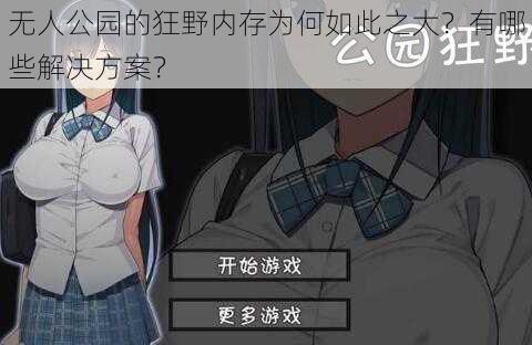 无人公园的狂野内存为何如此之大?有哪些解决方案?