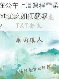 在公车上遭遇程雪柔,txt 全文如何获取?